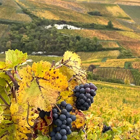 Bed & Breakfast Les Portes Bleues 3*